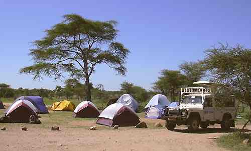 Safari Tsavo en Camping 3jours 2 Safari Tsavo en Camping 3jours depuis Diani Beach Kenya. Safaris en camping tente igloo 2 places et en camps publics depuis la côte de l'océan Indien Diani