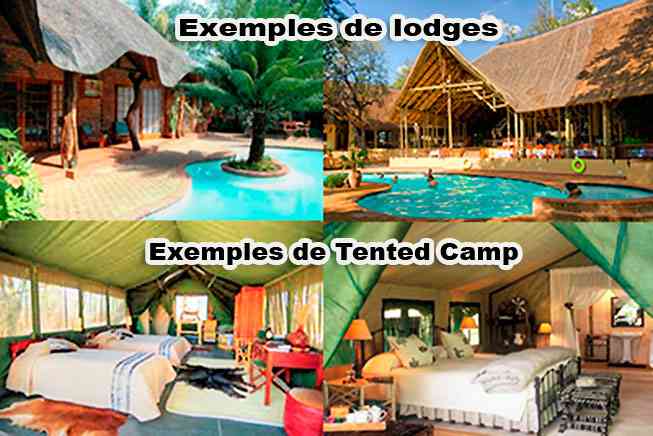 Safari Tsavo Amboseli en lodge 4jours 2 Kibo Camp - Safari 4 jours Tsavo Amboseli Lodge