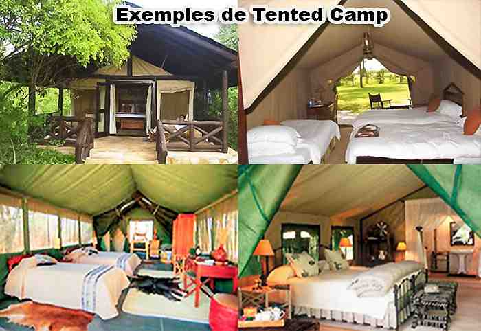 Safari Tsavo Amboseli en camp 4jours 2 Tented camps - safaris 4jours camps tsavo amboseli
