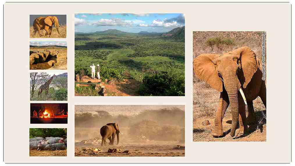 Safari Tsavo Est Kenya
