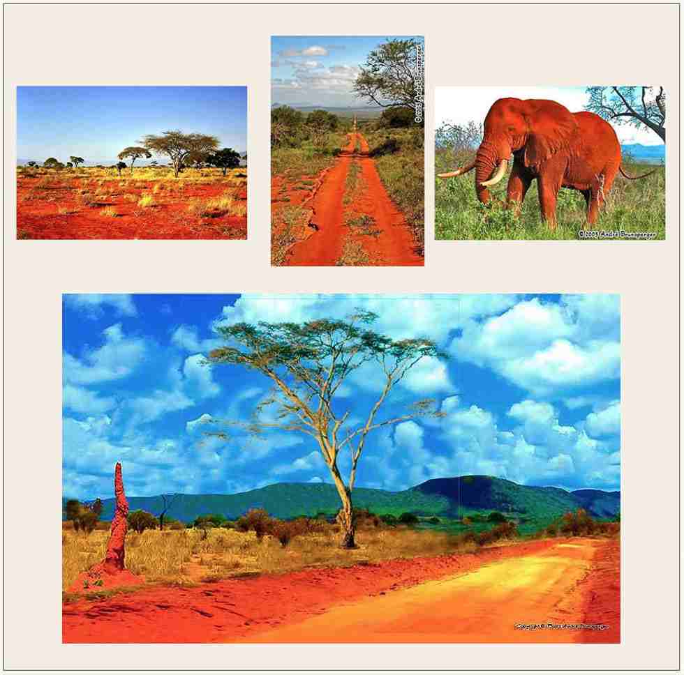Safari Tsavo Est Amboseli en lodge 4jours depuis Diani Beach.