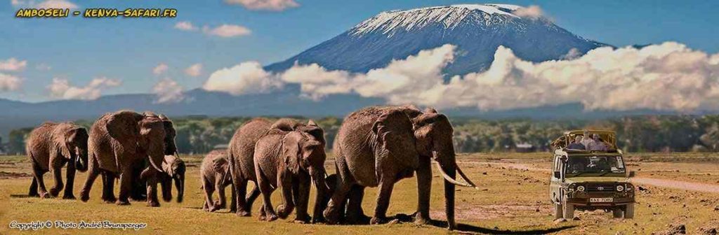 Safari Tsavo Est Amboseli en lodge 4jours depuis Diani Beach.