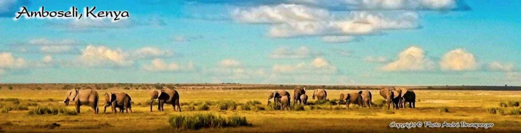 Safari Tsavo Est Amboseli en lodge 4jours depuis Diani Beach.
